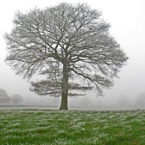 Meet your Posher, Ngoc yen